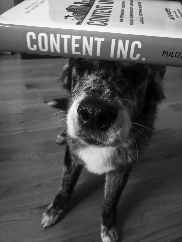 content marketing dogs